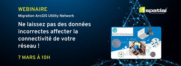 Migration ArcGIS Utility Network